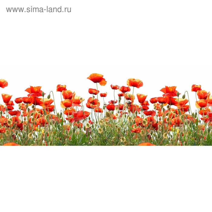 фото Кухонный фартук 1600х600 мм, закалённое стекло 4 мм, 6 отверстий под крепёж, цвет цв0272