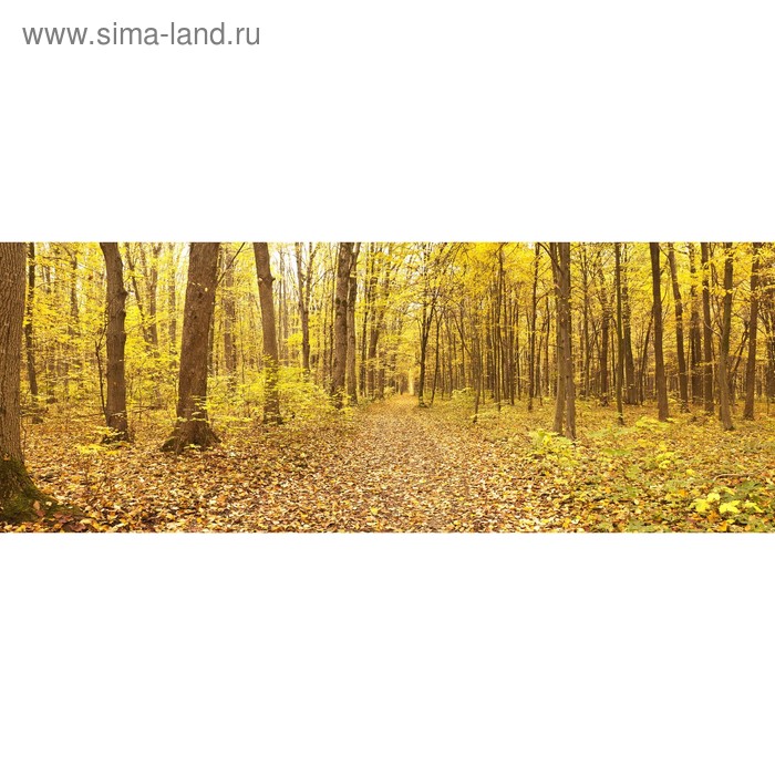 фото Кухонный фартук 1600х600 мм, закалённое стекло 4 мм, 6 отверстий под крепёж, цвет пр0025