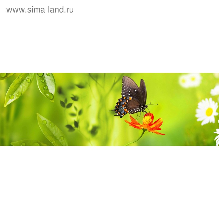 фото Кухонный фартук 1800х600 мм, закалённое стекло 4 мм, 6 отверстий под крепёж, цвет арт13