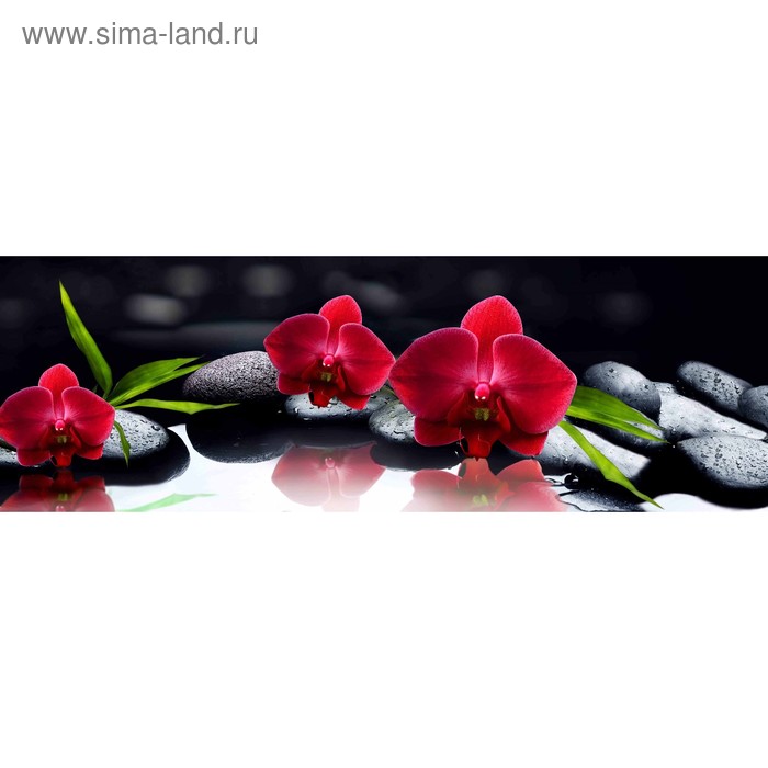 фото Кухонный фартук 1800х600 мм, закалённое стекло 4 мм, 6 отверстий под крепёж, цвет арт69