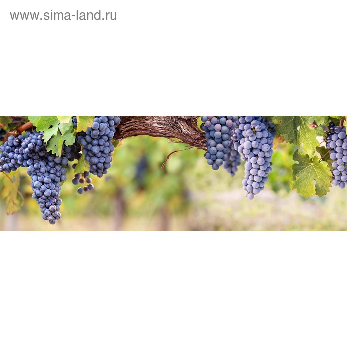 фото Кухонный фартук 1800х600 мм, закалённое стекло 4 мм, 6 отверстий под крепёж, цвет арт840