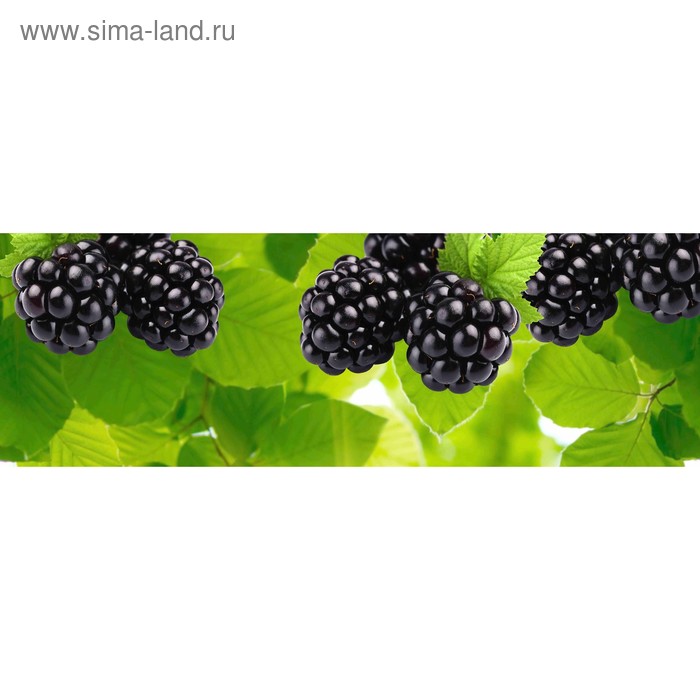 фото Кухонный фартук 1800х600 мм, закалённое стекло 4 мм, 6 отверстий под крепёж, цвет арт890