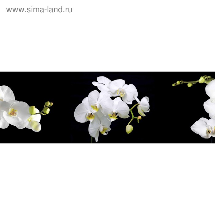 фото Кухонный фартук 1800х600 мм, закалённое стекло 4 мм, 6 отверстий под крепёж, цвет цв0139