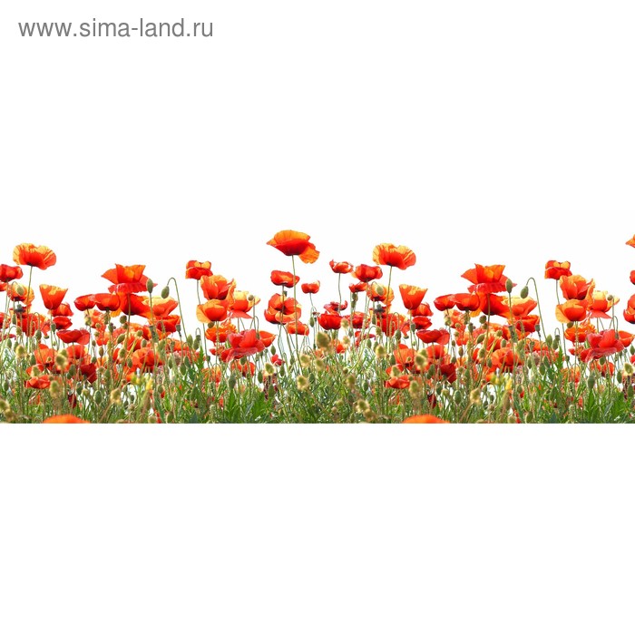 фото Кухонный фартук 1800х600 мм, закалённое стекло 4 мм, 6 отверстий под крепёж, цвет цв0272