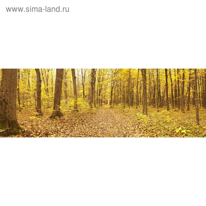 фото Кухонный фартук 1800х600 мм, закалённое стекло 4 мм, 6 отверстий под крепёж, цвет пр0025