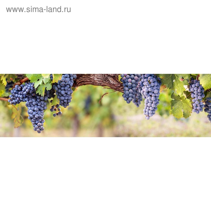 фото Кухонный фартук 2000х600 мм, закалённое стекло 4 мм, 6 отверстий под крепёж, цвет арт840