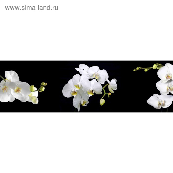 фото Кухонный фартук 2000х600 мм, закалённое стекло 4 мм, 6 отверстий под крепёж, цвет цв0139