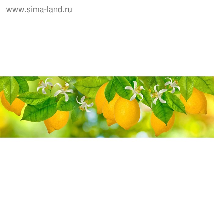 фото Кухонный фартук 2100х600 мм, закалённое стекло 4 мм, 6 отверстий под крепёж, цвет арт456