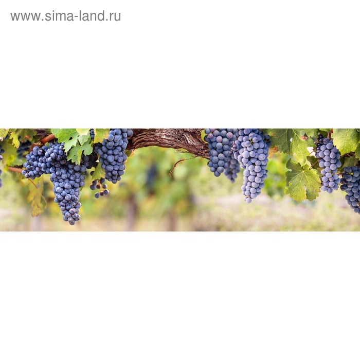 фото Кухонный фартук 2100х600 мм, закалённое стекло 4 мм, 6 отверстий под крепёж, цвет арт840