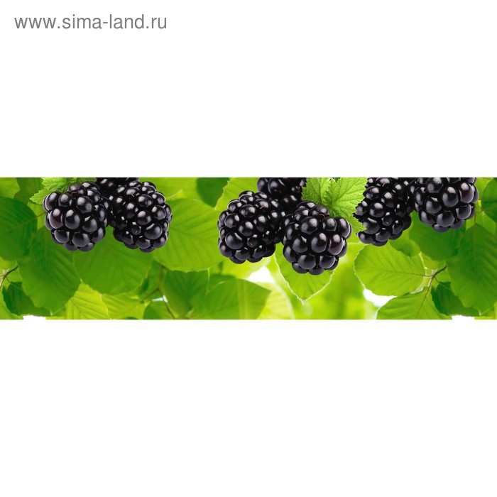 фото Кухонный фартук 2100х600 мм, закалённое стекло 4 мм, 6 отверстий под крепёж, цвет арт890