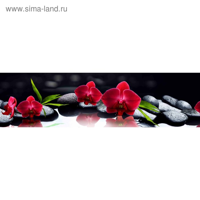 фото Кухонный фартук 2200х600 мм, закалённое стекло 4 мм, 6 отверстий под крепёж, цвет арт69