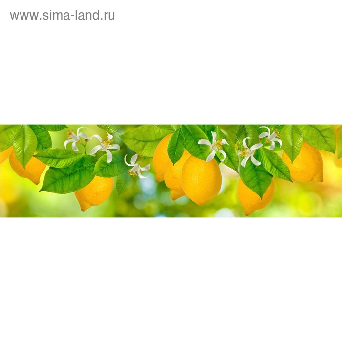 фото Кухонный фартук 2200х600 мм, закалённое стекло 4 мм, 6 отверстий под крепёж, цвет арт456