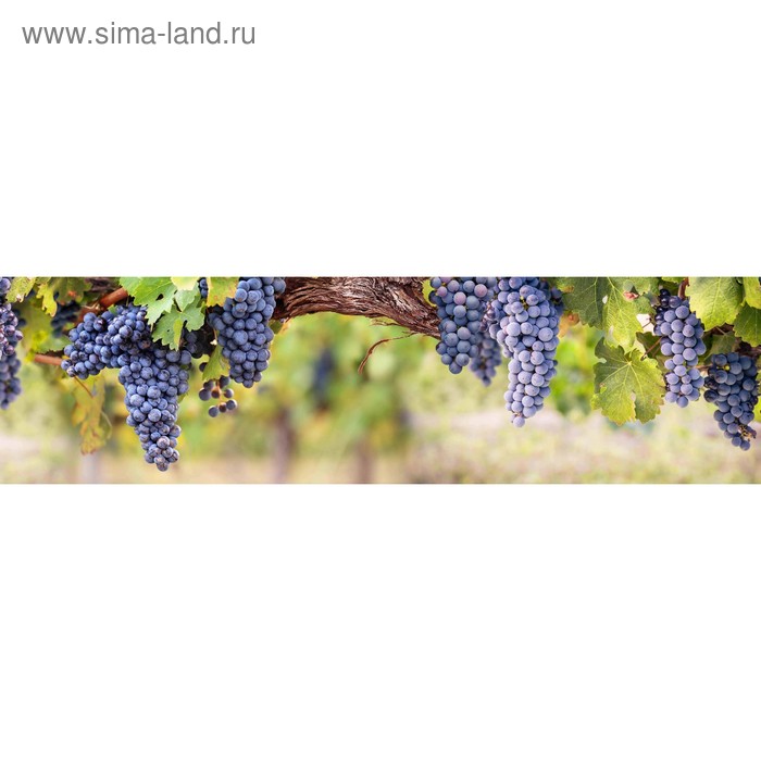 фото Кухонный фартук 2200х600 мм, закалённое стекло 4 мм, 6 отверстий под крепёж, цвет арт840