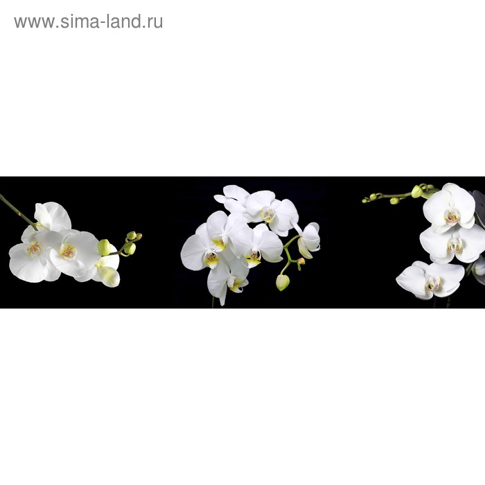 фото Кухонный фартук 2200х600 мм, закалённое стекло 4 мм, 6 отверстий под крепёж, цвет цв0139