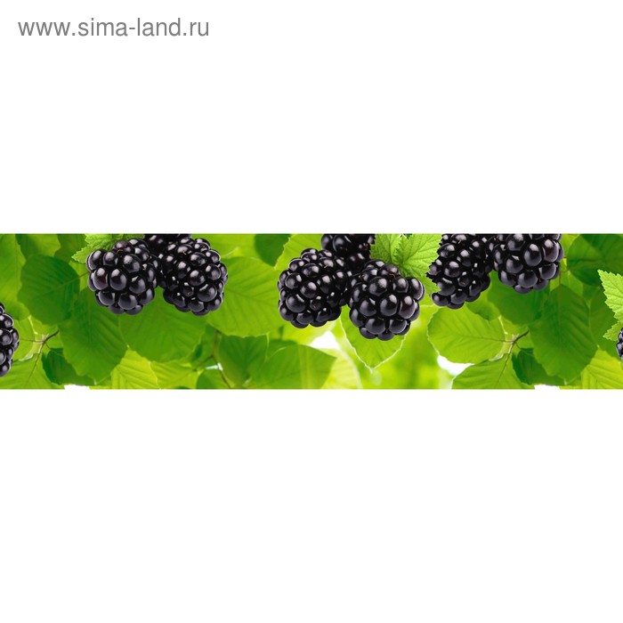 фото Кухонный фартук 2400х600 мм, закалённое стекло 4 мм, 6 отверстий под крепёж, цвет арт890