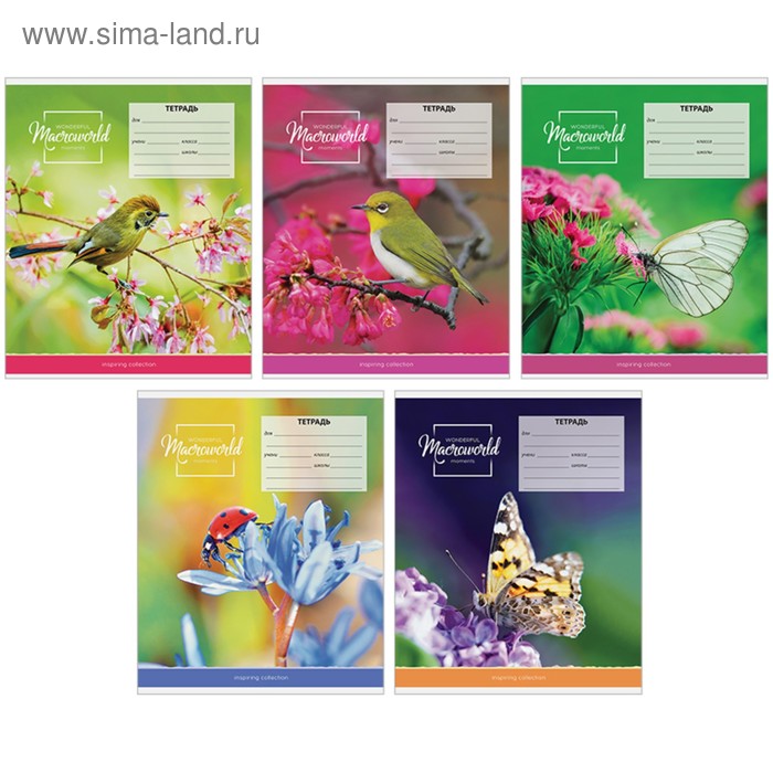Тетрадь 18 листов в клетку «Природа». Macroworld, обложка мелованный картон, блок офсет, МИКС
Тетрадь 18 листов в клетку «Природа». Macroworld, обложка мелованный картон, блок офсет, МИКС