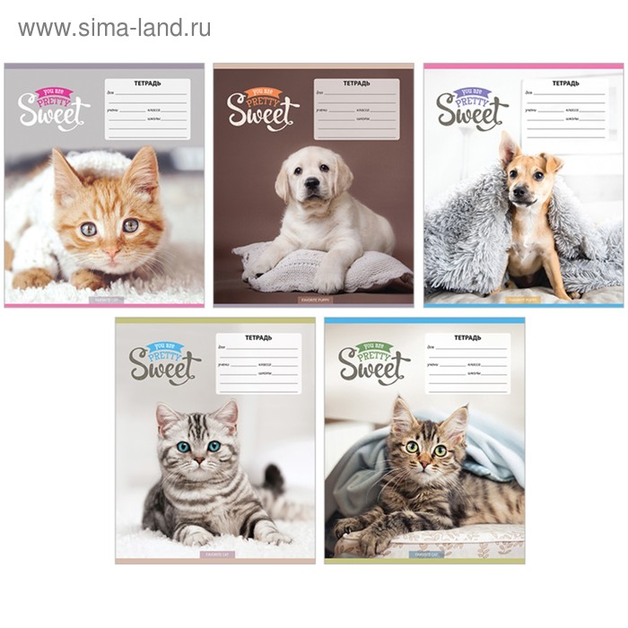 Тетрадь 18 листов в линейку «Питомцы. Pretty sweet», обложка мелованный картон, блок офсет, МИКС
Тетрадь 18 листов в линейку «Питомцы. Pretty sweet», обложка мелованный картон, блок офсет, МИКС