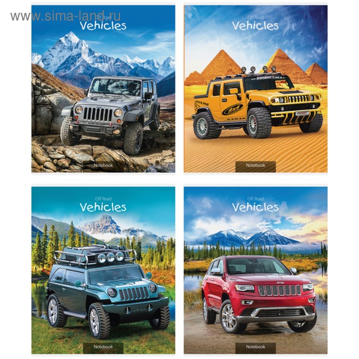 Тетрадь 48 листов в клетку «Авто. Внедорожники», обложка мелованный картон, ВД-лак, блок №2, белизна 75 %
Тетрадь 48 листов в клетку «Авто. Внедорожники», обложка мелованный картон, ВД-лак, блок №2, белизна 75 %