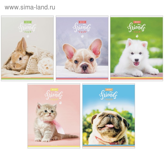 Тетрадь 48 листов в клетку «Питомцы. Очаровашки», обложка мелованный картон, ВД-лак, блок офсет, МИКС
Тетрадь 48 листов в клетку «Питомцы. Очаровашки», обложка мелованный картон, ВД-лак, блок офсет, МИКС