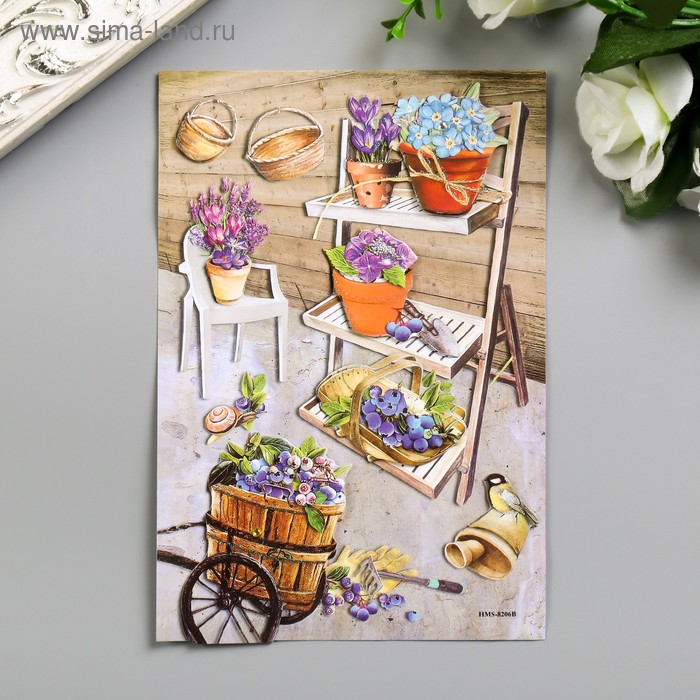 Наклейка картон, пластик 2 слоя "Цветочный сад" МИКС 18,5х12,5 см
Наклейка картон, пластик 2 слоя "Цветочный сад" МИКС 18,5х12,5 см