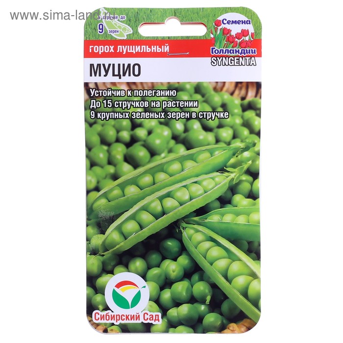 Семена Горох "Муцио", 4 г
Семена Горох "Муцио", 4 г