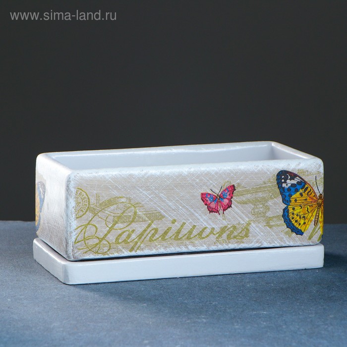 Горшок цветочный "Кактусник" бабочки, 24*12/h9см 
Горшок цветочный "Кактусник" бабочки, 24*12/h9см