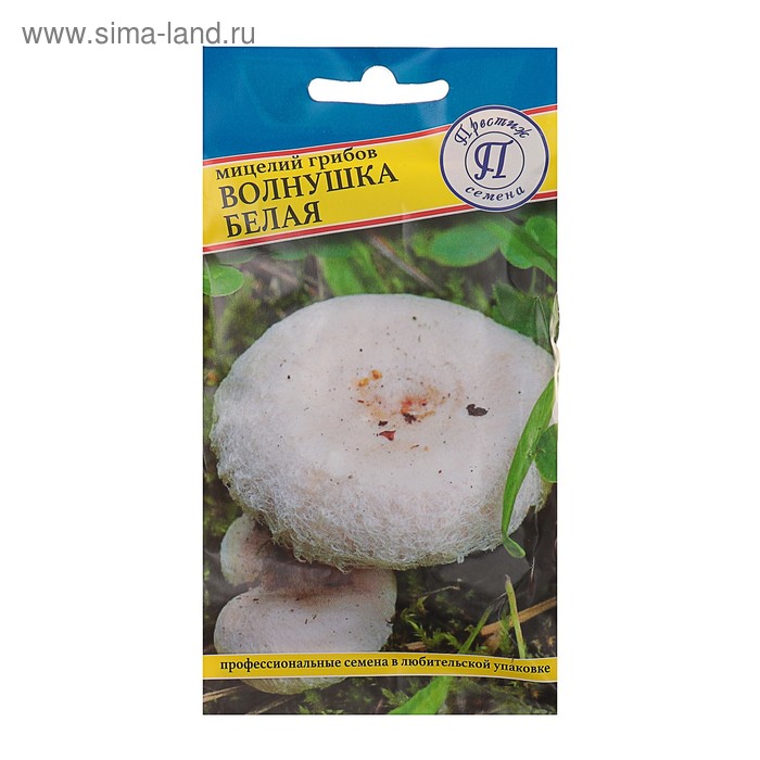 Мицелий грибов Волнушка белая, 60 мл
Мицелий грибов Волнушка белая, 60 мл