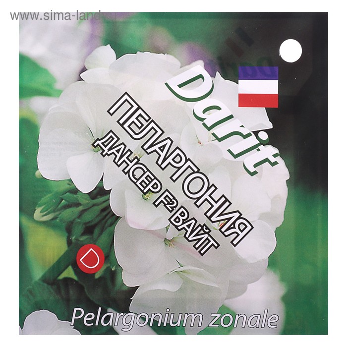 Семена цветов Пеларгония "Дансер" F2 Вайт, Мн, DARIT 4 шт
Семена цветов Пеларгония "Дансер" F2 Вайт, Мн, DARIT 4 шт