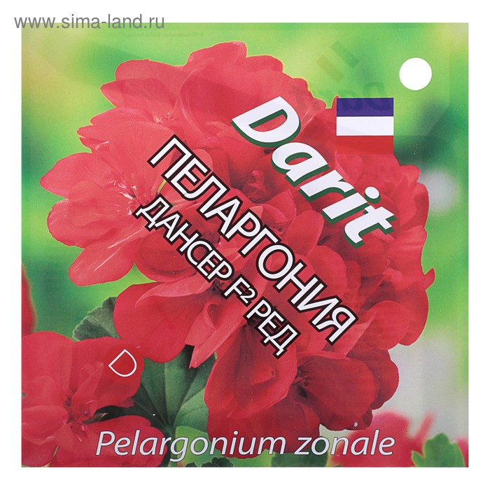 Семена цветов Пеларгония "Дансер" Ред, Мн, DARIT, F2, 4 шт.
Семена цветов Пеларгония "Дансер" Ред, Мн, DARIT, F2, 4 шт.