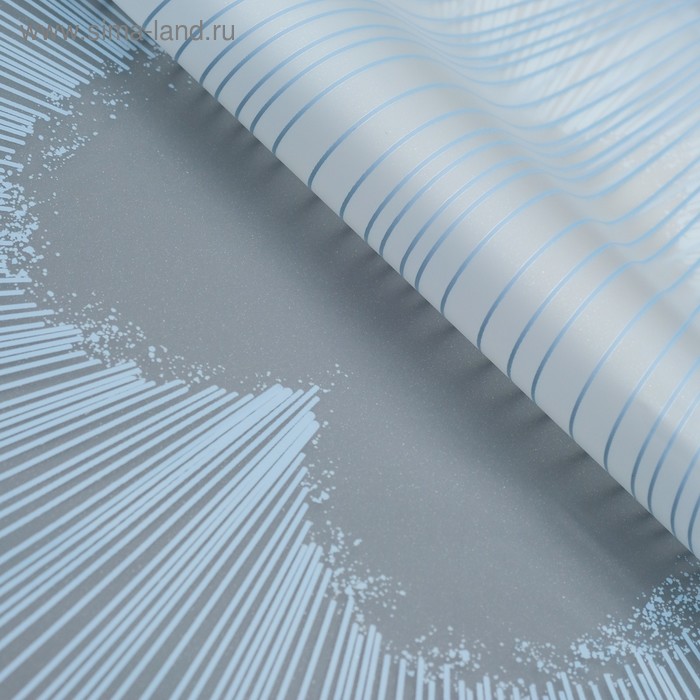 Плёнка матовая с рисунком "Свечение", цвет серо-синий, 60 х 60 см
Плёнка матовая с рисунком "Свечение", цвет серо-синий, 60 х 60 см