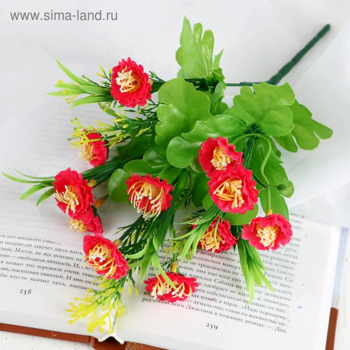 Букет "Морозник" 27 см, микс
Букет "Морозник" 27 см, микс