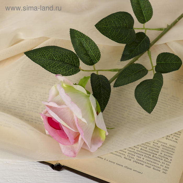 Цветы искусственные "Роза боливийская" 7,5*55 см, розовая
Цветы искусственные "Роза боливийская" 7,5*55 см, розовая