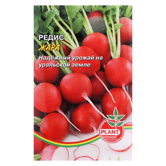 Семена Редис "Жара", 2 г
Семена Редис "Жара", 2 г