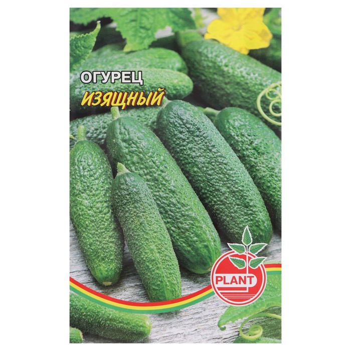 Семена Огурец "Изящный", 20 шт
Семена Огурец "Изящный", 20 шт