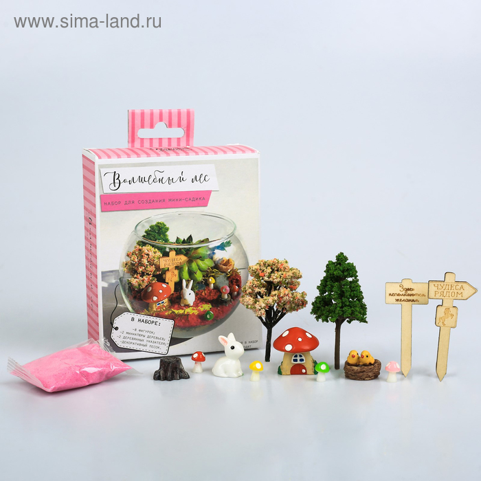 Набор для создания мини-садика «Волшебный лес», 10 х 12 х 4 см 
Набор для создания мини-садика «Волшебный лес», 10 х 12 х 4 см