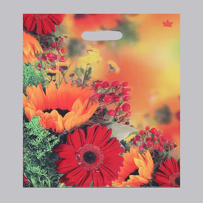 Пакет "Осенние цветы", полиэтиленовый с вырубной ручкой, 31 х 40 см, 60 мкм
Пакет "Осенние цветы", полиэтиленовый с вырубной ручкой, 31 х 40 см, 60 мкм