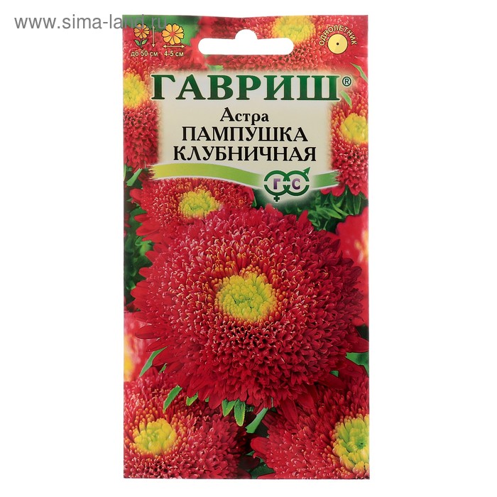 Семена цветов Астра Пампушка клубничная, помпонная, О, 0,3 г 
Семена цветов Астра Пампушка клубничная, помпонная, О, 0,3 г