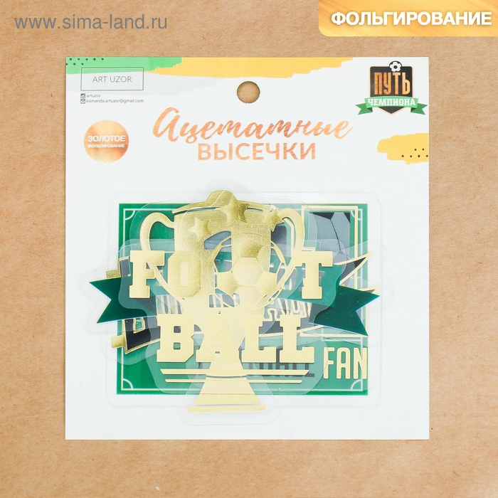 Набор ацетатных высечек с фольгированием «Путь чемпиона», 11 × 12 см
Набор ацетатных высечек с фольгированием «Путь чемпиона», 11 × 12 см