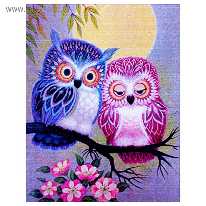 Алмазная мозаика «Парочка» 20 × 27 см, 27 цветов
Алмазная мозаика «Парочка» 20 × 27 см, 27 цветов