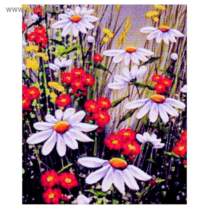 Алмазная мозаика «Ромашковое поле» 20 × 28 см, 25 цвета
Алмазная мозаика «Ромашковое поле» 20 × 28 см, 25 цвета