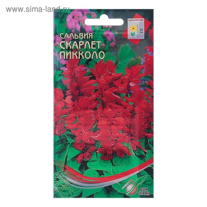 Семена цветов Сальвия "Скарлет Пикколо" Дом семян, О, 25 шт
Семена цветов Сальвия "Скарлет Пикколо" Дом семян, О, 25 шт