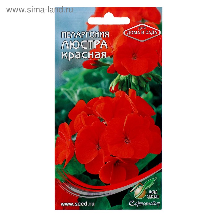 Семена цветов Пеларгония "Люстра красная" Дом семян, Мн, 4 шт
Семена цветов Пеларгония "Люстра красная" Дом семян, Мн, 4 шт
