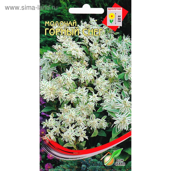 Семена цветов Молочай "Горный снег" Дом семян, О, 8 шт
Семена цветов Молочай "Горный снег" Дом семян, О, 8 шт