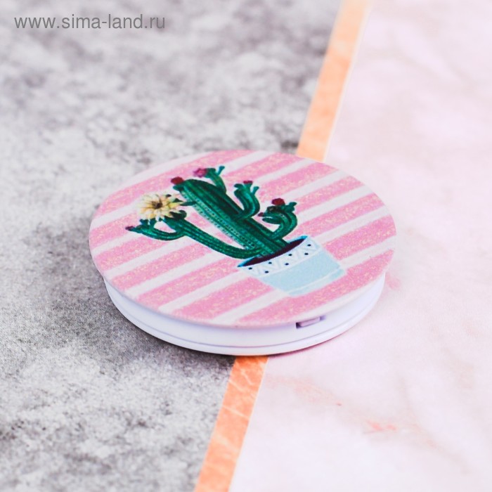 Попсокет Cactus, 4 × 4 см
Попсокет Cactus, 4 × 4 см