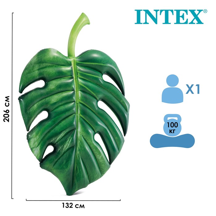 Матрас для плавания «Пальмовая ветка», 206 х 132 см, 58782EU INTEX 
Матрас для плавания «Пальмовая ветка», 206 х 132 см, 58782EU INTEX