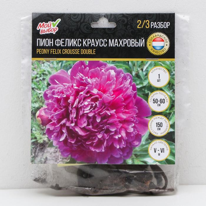 Пион "Феликс Краусс" махровый, р-р 2/3, 1 шт, Весна 2022,
Пион "Феликс Краусс" махровый, р-р 2/3, 1 шт, Весна 2022,