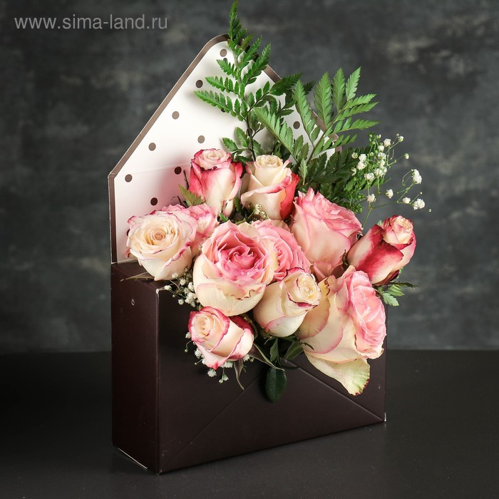 Переноска складная "Конверт", цвет коричневый, 31 х 41 х 8 см
Переноска складная "Конверт", цвет коричневый, 31 х 41 х 8 см