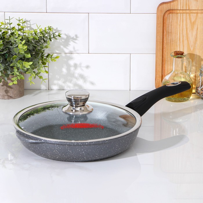 Сковорода «Графит», d=26 см, h=5,5 см, стеклянная крышка, съёмная ручка, антипригарное покрытие, цвет МИКС
Сковорода «Графит», d=26 см, h=5,5 см, стеклянная крышка, съёмная ручка, антипригарное покрытие, цвет МИКС