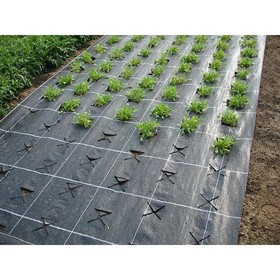 Агроткань застилочная, с разметкой, 2.1 × 10 м, плотность 100 г/м², полипропилен, чёрная
Агроткань застилочная, с разметкой, 2.1 × 10 м, плотность 100 г/м², полипропилен, чёрная