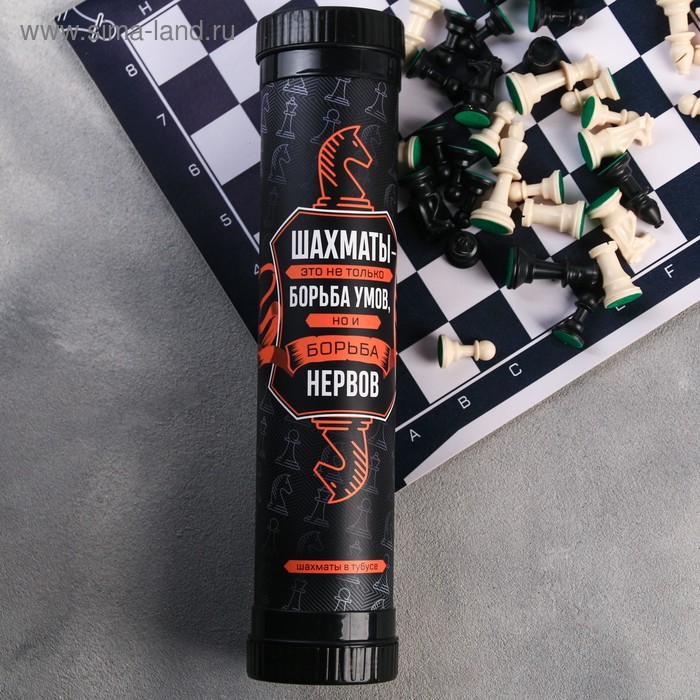 Шахматы «Борьба умов», 33 х 33 см
Шахматы «Борьба умов», 33 х 33 см